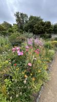 Noch mehr Blumen &ndash; &copy; Felicitas Bachmann (Eberhardt TRAVEL)