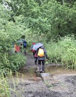 Über den Fluß im Wald &ndash; &copy; Felicitas Bachmann (Eberhardt TRAVEL)