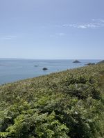 Sark &ndash; &copy; Andy Nguyen (Eberhardt TRAVEL)