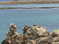 Guernsey Gesteinsformation Affe und Kamel &ndash; &copy; Andy Nguyen (Eberhardt TRAVEL)