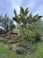 25.05.2025:  Botanischer Garten Samares Manor