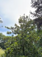 Anwesen von Familie Binny &ndash; &copy; Andy Nguyen (Eberhardt TRAVEL)
