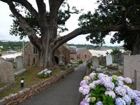 Friedhof & Kirche St. Brelade´s