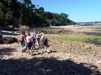bei Ebbe nach St. Aubin