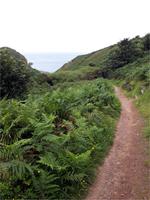 GB_JERS9_12801_154007