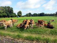 GB_JERS9_12802_094657