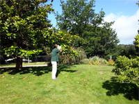 GB_JERS9_12802_100013