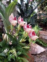 GB_JERS9_12802_101124