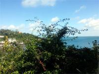 GB_JERS9_12802_111244