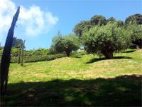 GB_JERS9_12802_112426