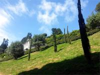 GB_JERS9_12802_112433