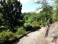 GB_JERS9_12802_115453