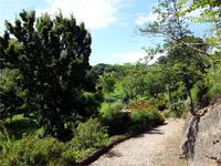 GB_JERS9_12802_115458