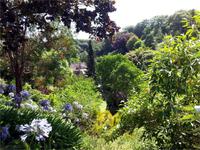 GB_JERS9_12802_115752