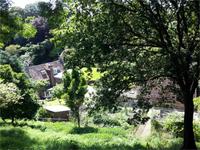 GB_JERS9_12802_115932