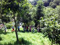 GB_JERS9_12802_120144