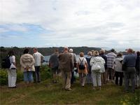 GB_JERS9_12803_112828