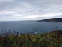 GB_JERS9_12803_114415