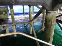 GB_JERS9_12803_164252