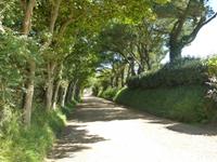 auf Sark ist richtig viel los :-)