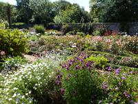 im Garten der La Seugnerie