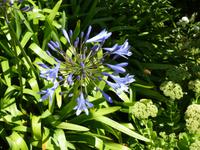 im Garten La Seugnerie