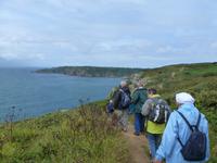 Klippenwanderung auf Guernsey