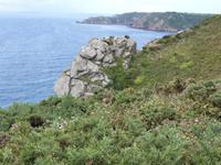 Klippenwanderung auf Guernsey