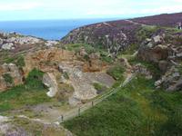 Heidekraut - Ruinen von Grosnez Castle