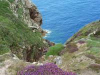 Inselrundfahrt auf Jersey