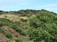 Klippenwanderung in Richtung Beauport