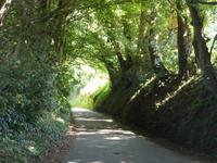 Tunnelartige Straßen im Landesinneren