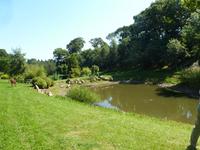 Im Garten von Lady Guthrie