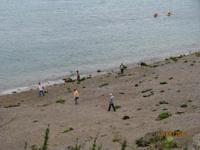 Auf Suche nach Jakobsmuscheln