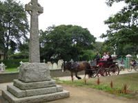 Das Fortbewegungsmittel auf der Insel