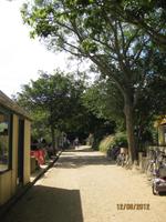 Die Hauptstraße auf Sark