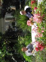 Umgeben von einer wahren Blütenpracht