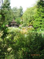 Im Japanischen Garten von Samares Manor Garden