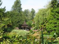Herrliche Ruhe im Japanischen Garten