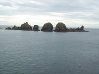 Felsformation vor Insel Sark