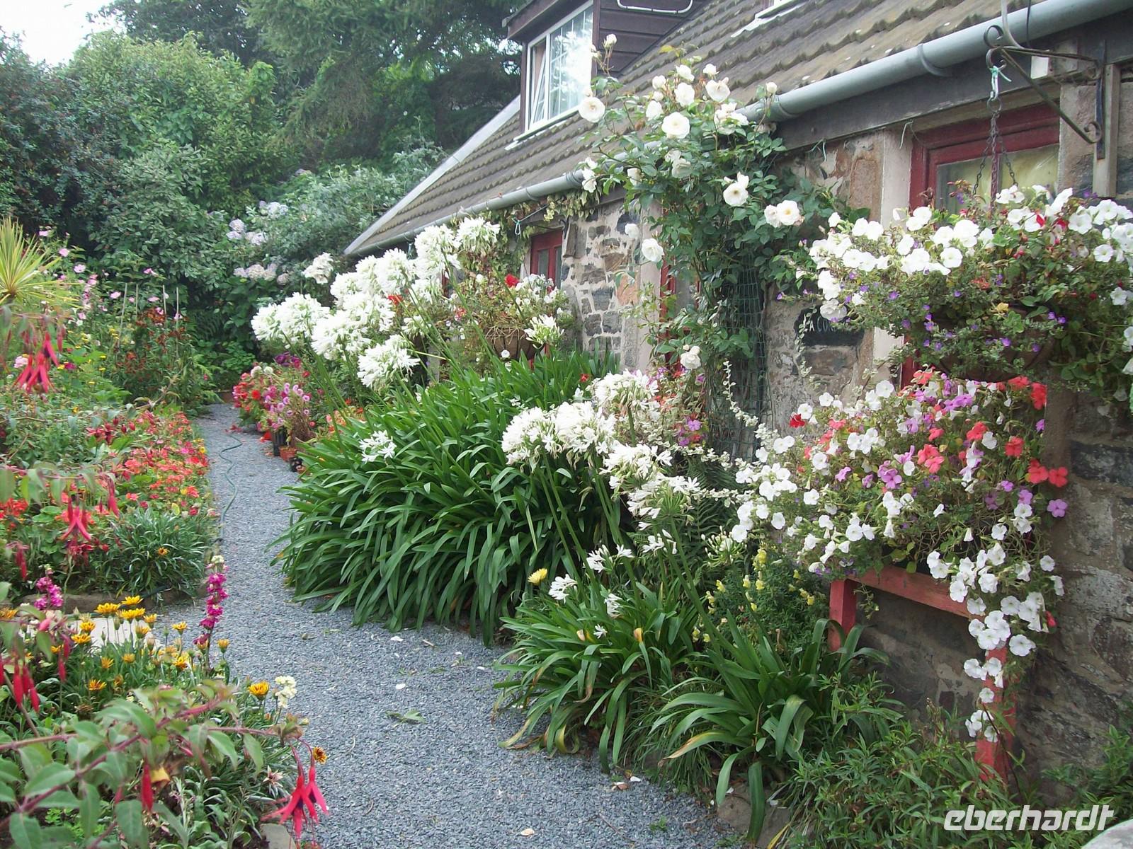 blühende Gärten auf Sark