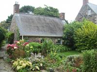 blühende Gärten auf Sark