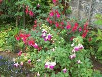 im ummauerten Garten der Seigneurie