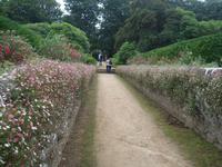 im ummauerten Garten der Seigneurie