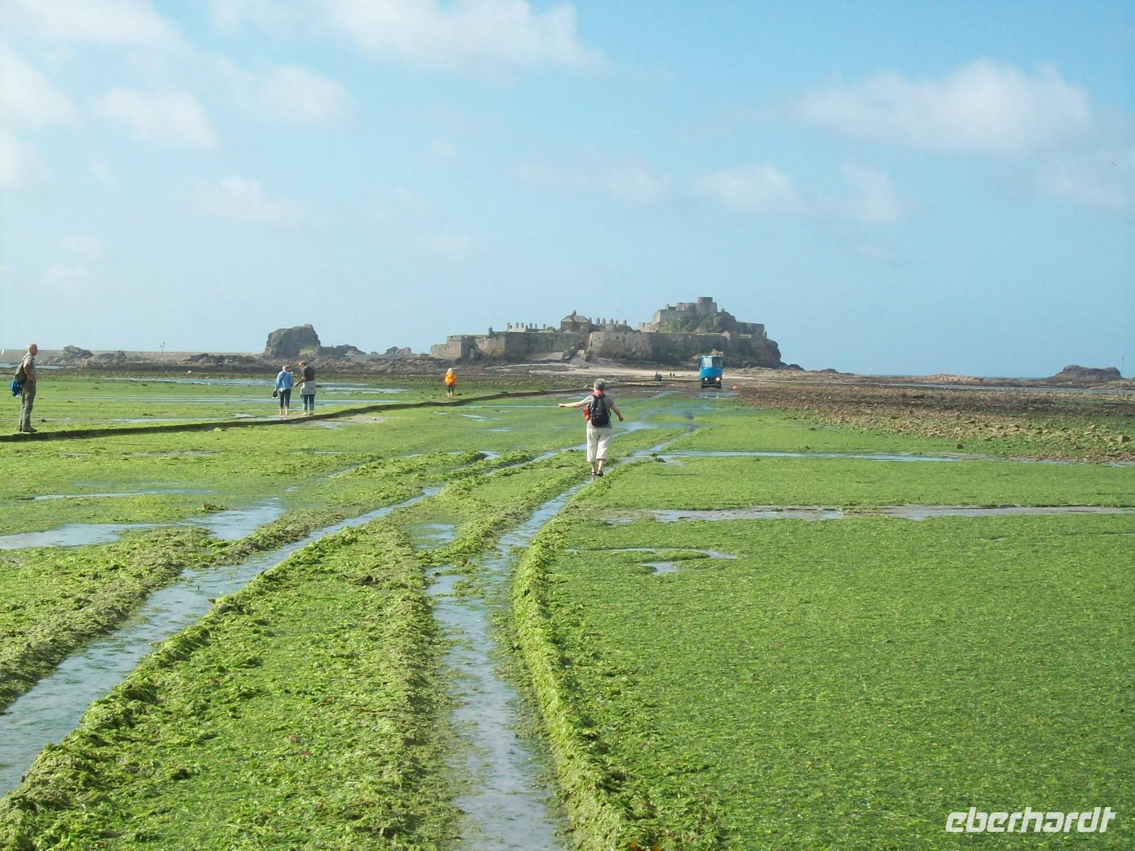 Wanderung zum Elizabeth Castle