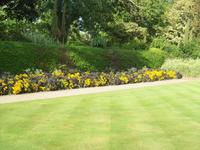 im Howard Davis Park