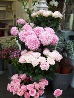 Blumenstand in der Markthalle