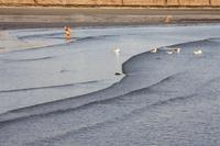 Badespaß auf Jersey