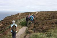 Wanderung durch Heidelandschaft