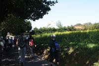 Wanderung im Landesinneren entlang der Green Lanes